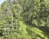 TBD Dutch Hollow Road, Weston, West Virginia 26452, 0 , 0 ,0,Lots/land,For Sale,Dutch Hollow,0,10166977