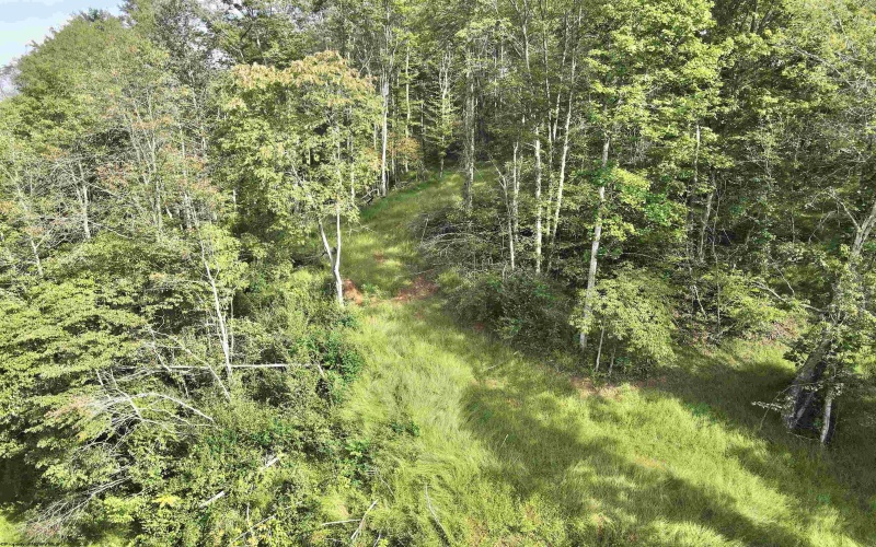 TBD Dutch Hollow Road, Weston, West Virginia 26452, 0 , 0 ,0,Lots/land,For Sale,Dutch Hollow,0,10166977