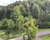 TBD Dutch Hollow Road, Weston, West Virginia 26452, 0 , 0 ,0,Lots/land,For Sale,Dutch Hollow,0,10166977
