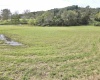 TBD Dutch Hollow Road, Weston, West Virginia 26452, 0 , 0 ,0,Lots/land,For Sale,Dutch Hollow,0,10166977