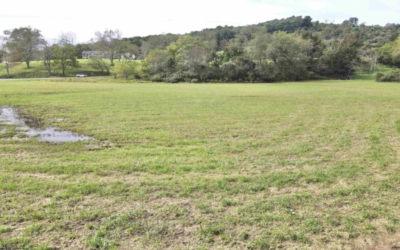 TBD Dutch Hollow Road, Weston, West Virginia 26452, 0 , 0 ,0,Lots/land,For Sale,Dutch Hollow,0,10166977