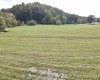 TBD Dutch Hollow Road, Weston, West Virginia 26452, 0 , 0 ,0,Lots/land,For Sale,Dutch Hollow,0,10166977