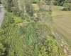 TBD Dutch Hollow Road, Weston, West Virginia 26452, 0 , 0 ,0,Lots/land,For Sale,Dutch Hollow,0,10166977