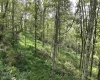TBD Dutch Hollow Road, Weston, West Virginia 26452, 0 , 0 ,0,Lots/land,For Sale,Dutch Hollow,0,10166977