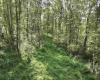 TBD Dutch Hollow Road, Weston, West Virginia 26452, 0 , 0 ,0,Lots/land,For Sale,Dutch Hollow,0,10166977