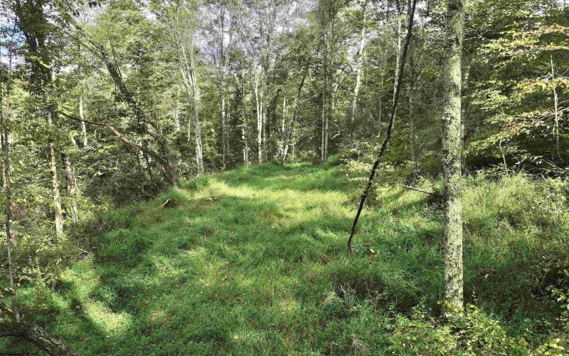 TBD Dutch Hollow Road, Weston, West Virginia 26452, 0 , 0 ,0,Lots/land,For Sale,Dutch Hollow,0,10166977