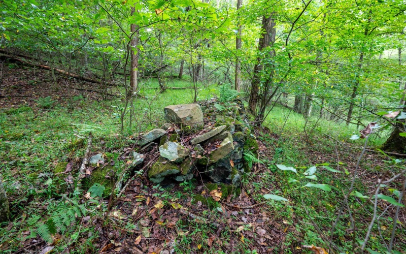 Lot 1 Saltlick Road, Rowlesburg, West Virginia 26425, 0 , 0 ,0,Lots/land,For Sale,Saltlick,0,10166982