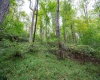 Lot 1 Saltlick Road, Rowlesburg, West Virginia 26425, 0 , 0 ,0,Lots/land,For Sale,Saltlick,0,10166982
