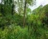 Lot 1 Saltlick Road, Rowlesburg, West Virginia 26425, 0 , 0 ,0,Lots/land,For Sale,Saltlick,0,10166982