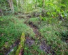 Lot 1 Saltlick Road, Rowlesburg, West Virginia 26425, 0 , 0 ,0,Lots/land,For Sale,Saltlick,0,10166982