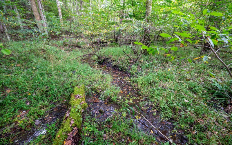 Lot 1 Saltlick Road, Rowlesburg, West Virginia 26425, 0 , 0 ,0,Lots/land,For Sale,Saltlick,0,10166982