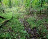 Lot 1 Saltlick Road, Rowlesburg, West Virginia 26425, 0 , 0 ,0,Lots/land,For Sale,Saltlick,0,10166982