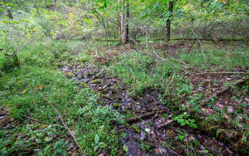 Lot 1 Saltlick Road, Rowlesburg, West Virginia 26425, 0 , 0 ,0,Lots/land,For Sale,Saltlick,0,10166982