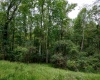 Lot 1 Saltlick Road, Rowlesburg, West Virginia 26425, 0 , 0 ,0,Lots/land,For Sale,Saltlick,0,10166982