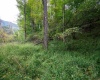 Lot 1 Saltlick Road, Rowlesburg, West Virginia 26425, 0 , 0 ,0,Lots/land,For Sale,Saltlick,0,10166982