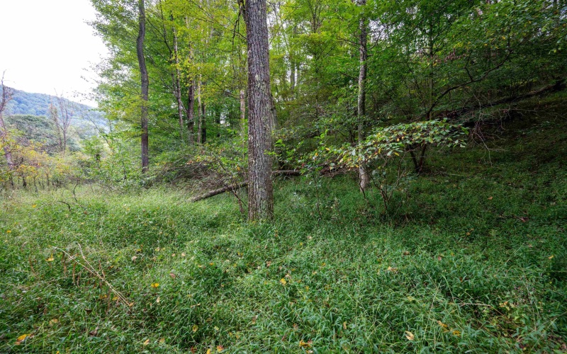 Lot 1 Saltlick Road, Rowlesburg, West Virginia 26425, 0 , 0 ,0,Lots/land,For Sale,Saltlick,0,10166982