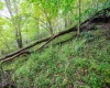 Lot 1 Saltlick Road, Rowlesburg, West Virginia 26425, 0 , 0 ,0,Lots/land,For Sale,Saltlick,0,10166982