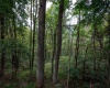 Lot 1 Saltlick Road, Rowlesburg, West Virginia 26425, 0 , 0 ,0,Lots/land,For Sale,Saltlick,0,10166982