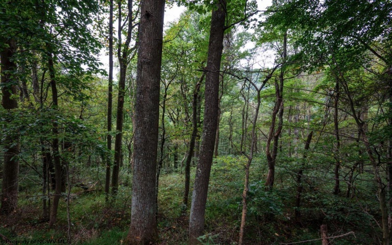 Lot 1 Saltlick Road, Rowlesburg, West Virginia 26425, 0 , 0 ,0,Lots/land,For Sale,Saltlick,0,10166982