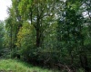 Lot 1 Saltlick Road, Rowlesburg, West Virginia 26425, 0 , 0 ,0,Lots/land,For Sale,Saltlick,0,10166982