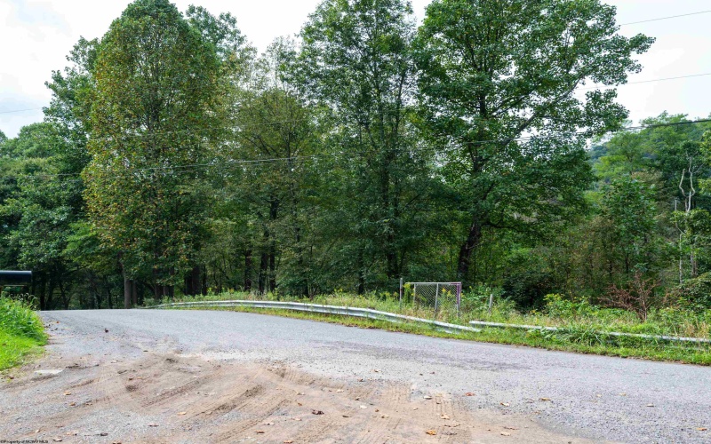 Lot 1 Saltlick Road, Rowlesburg, West Virginia 26425, 0 , 0 ,0,Lots/land,For Sale,Saltlick,0,10166982