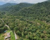 Lot 1 Saltlick Road, Rowlesburg, West Virginia 26425, 0 , 0 ,0,Lots/land,For Sale,Saltlick,0,10166982