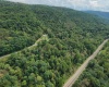 Lot 1 Saltlick Road, Rowlesburg, West Virginia 26425, 0 , 0 ,0,Lots/land,For Sale,Saltlick,0,10166982
