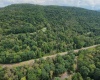 Lot 1 Saltlick Road, Rowlesburg, West Virginia 26425, 0 , 0 ,0,Lots/land,For Sale,Saltlick,0,10166982