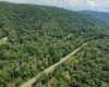 Lot 1 Saltlick Road, Rowlesburg, West Virginia 26425, 0 , 0 ,0,Lots/land,For Sale,Saltlick,0,10166982