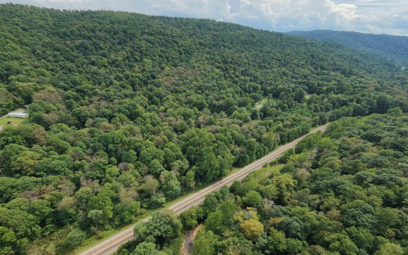 Lot 1 Saltlick Road, Rowlesburg, West Virginia 26425, 0 , 0 ,0,Lots/land,For Sale,Saltlick,0,10166982