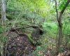 Lot 1 Saltlick Road, Rowlesburg, West Virginia 26425, 0 , 0 ,0,Lots/land,For Sale,Saltlick,0,10166982