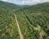 Lot 1 Saltlick Road, Rowlesburg, West Virginia 26425, 0 , 0 ,0,Lots/land,For Sale,Saltlick,0,10166982