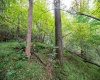 Lot 1 Saltlick Road, Rowlesburg, West Virginia 26425, 0 , 0 ,0,Lots/land,For Sale,Saltlick,0,10166982