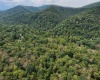 Lot 1 Saltlick Road, Rowlesburg, West Virginia 26425, 0 , 0 ,0,Lots/land,For Sale,Saltlick,0,10166982