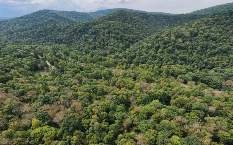 Lot 1 Saltlick Road, Rowlesburg, West Virginia 26425, 0 , 0 ,0,Lots/land,For Sale,Saltlick,0,10166982