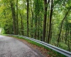 Lot 1 Saltlick Road, Rowlesburg, West Virginia 26425, 0 , 0 ,0,Lots/land,For Sale,Saltlick,0,10166982