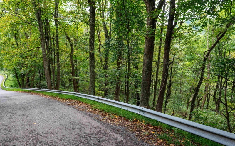 Lot 1 Saltlick Road, Rowlesburg, West Virginia 26425, 0 , 0 ,0,Lots/land,For Sale,Saltlick,0,10166982