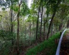 Lot 1 Saltlick Road, Rowlesburg, West Virginia 26425, 0 , 0 ,0,Lots/land,For Sale,Saltlick,0,10166982