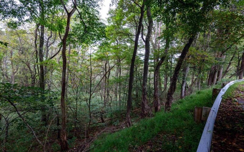 Lot 1 Saltlick Road, Rowlesburg, West Virginia 26425, 0 , 0 ,0,Lots/land,For Sale,Saltlick,0,10166982
