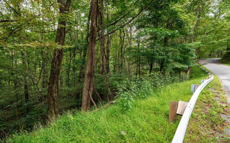 Lot 1 Saltlick Road, Rowlesburg, West Virginia 26425, 0 , 0 ,0,Lots/land,For Sale,Saltlick,0,10166982