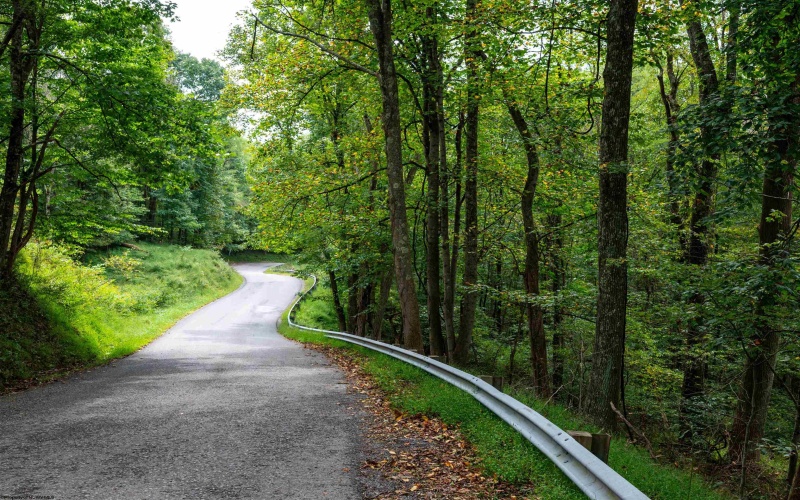 Lot 1 Saltlick Road, Rowlesburg, West Virginia 26425, 0 , 0 ,0,Lots/land,For Sale,Saltlick,0,10166982