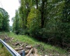Lot 1 Saltlick Road, Rowlesburg, West Virginia 26425, 0 , 0 ,0,Lots/land,For Sale,Saltlick,0,10166982
