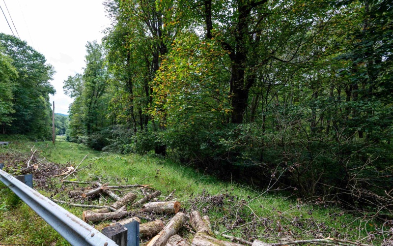 Lot 1 Saltlick Road, Rowlesburg, West Virginia 26425, 0 , 0 ,0,Lots/land,For Sale,Saltlick,0,10166982