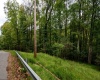 Lot 1 Saltlick Road, Rowlesburg, West Virginia 26425, 0 , 0 ,0,Lots/land,For Sale,Saltlick,0,10166982