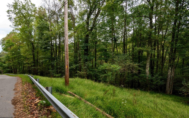 Lot 1 Saltlick Road, Rowlesburg, West Virginia 26425, 0 , 0 ,0,Lots/land,For Sale,Saltlick,0,10166982