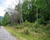 Lot 1 Saltlick Road, Rowlesburg, West Virginia 26425, 0 , 0 ,0,Lots/land,For Sale,Saltlick,0,10166982