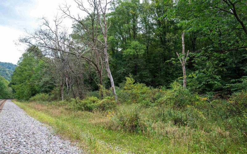 Lot 1 Saltlick Road, Rowlesburg, West Virginia 26425, 0 , 0 ,0,Lots/land,For Sale,Saltlick,0,10166982
