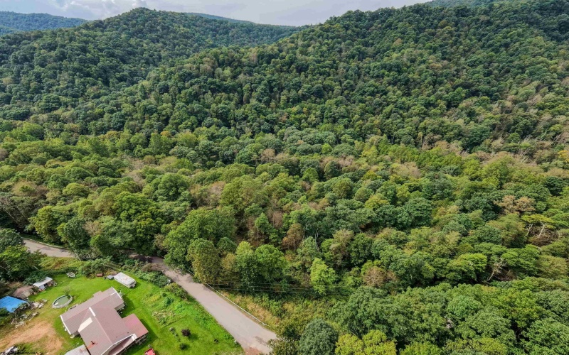 Lot 1 Saltlick Road, Rowlesburg, West Virginia 26425, 0 , 0 ,0,Lots/land,For Sale,Saltlick,0,10166982