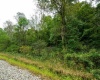 Lot 1 Saltlick Road, Rowlesburg, West Virginia 26425, 0 , 0 ,0,Lots/land,For Sale,Saltlick,0,10166982