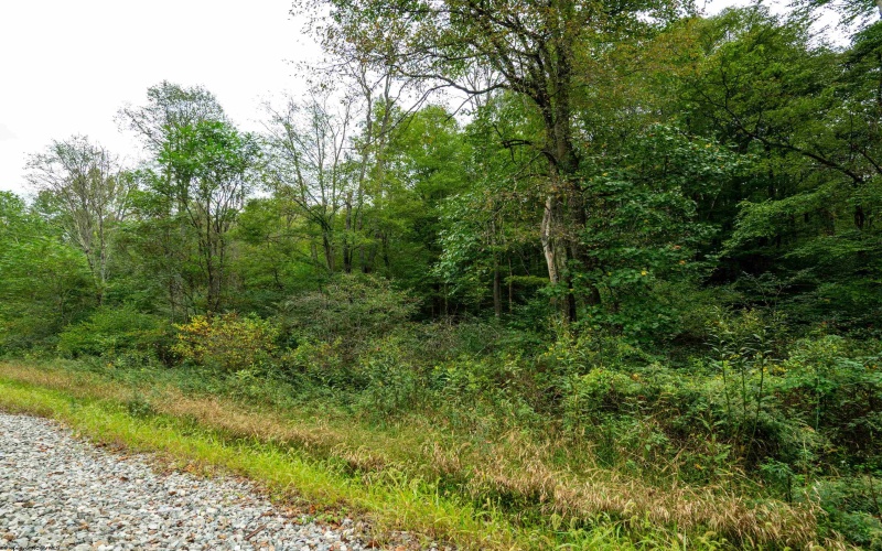 Lot 1 Saltlick Road, Rowlesburg, West Virginia 26425, 0 , 0 ,0,Lots/land,For Sale,Saltlick,0,10166982